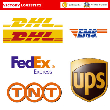 Servicio Express Courier puerta a puerta de China a Israel